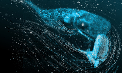 Symphony of the Deep